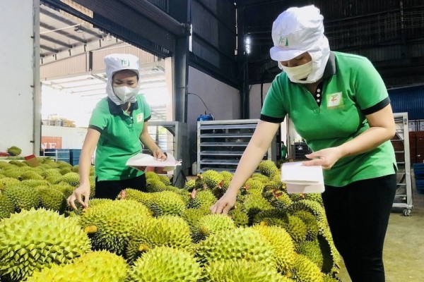 "Điểm sáng" nông lâm thuỷ sản tiếp đà tăng trưởng năm 2025