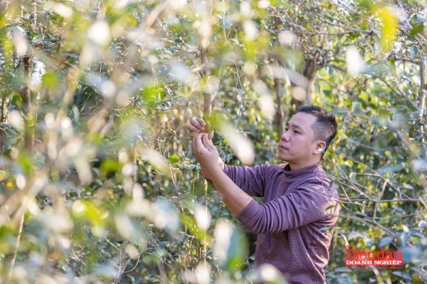 Đưa sản vật quê hương vươn xa Đưa sản vật quê hương vươn xa