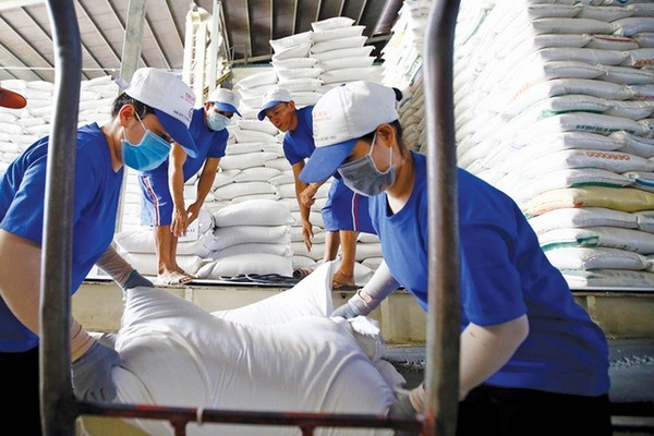 Có nên áp giá sàn cho xuất khẩu gạo?