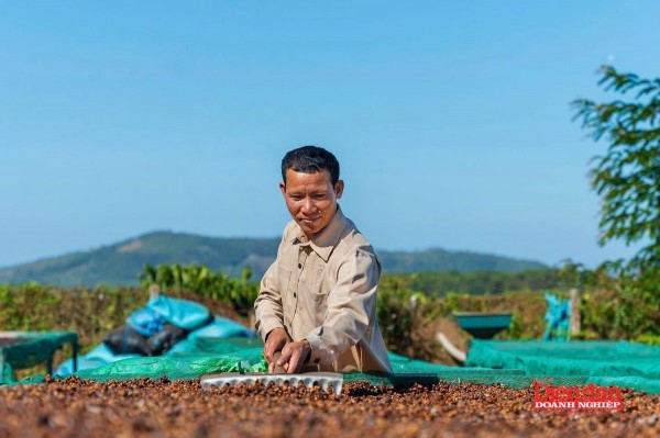 Gia Lai chú trọng hỗ trợ doanh nghiệp phát triển
