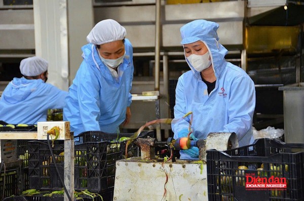 Gia Lai tìm thêm giải pháp “thúc” kinh tế tư nhân phát triển Gia Lai tìm thêm giải pháp “thúc” kinh tế tư nhân phát triển