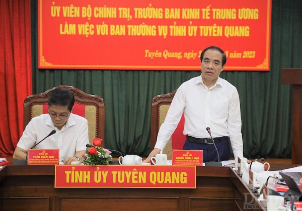 Giải pháp đột phá đưa Tuyên Quang thành trung tâm sản xuất chế biến gỗ