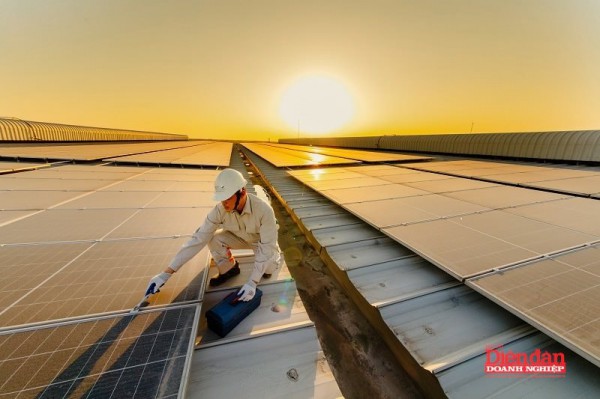 Hải Phòng đ ẩy nhanh tiến trình xanh hóa cho doanh nghiệp