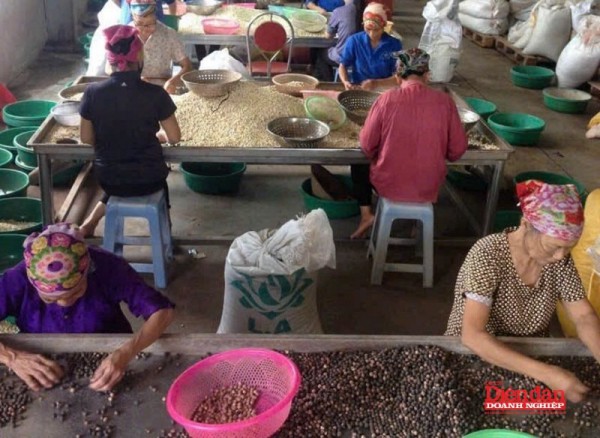 Hưng Yên: Không để những cam kết hỗ trợ doanh nghiệp chỉ nằm trên giấy Hưng Yên: Không để những cam kết hỗ trợ doanh nghiệp chỉ nằm trên giấy