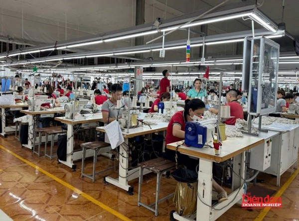 Kinh tế tư nhân Ninh Bình: Từ "vệ tinh" đến vị thế "xương sống" nền kinh tế Kinh tế tư nhân Ninh Bình: Từ "vệ tinh" đến vị thế "xương sống" nền kinh tế