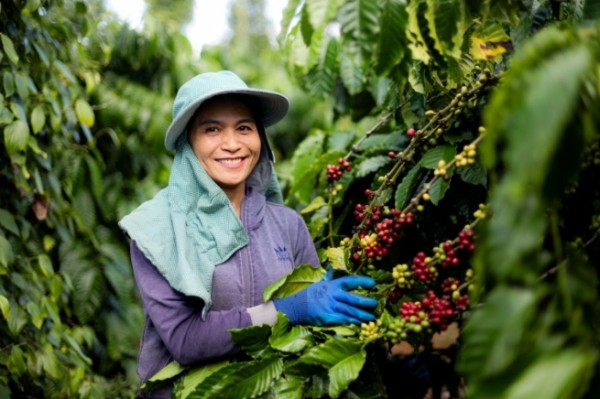 Kinh tế tuần hoàn là động lực chuyển đổi xanh Kinh tế tuần hoàn là động lực chuyển đổi xanh