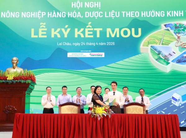Lai Châu: Thu hút đầu tư phát triển nông nghiệp hàng hóa, dược liệu xanh
