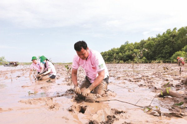 Phát huy vai trò kinh tế tư nhân trong phát triển kinh tế xanh, tuần hoàn
