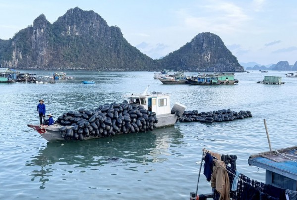 Quảng Ninh: Tích cực triển khai các chính sách hỗ trợ doanh nghiệp vượt khó