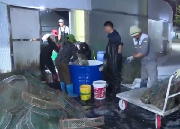 Quảng Ninh đột phá nuôi trồng thủy sản bằng công nghệ 4.0 Quảng Ninh đột phá nuôi trồng thủy sản bằng công nghệ 4.0