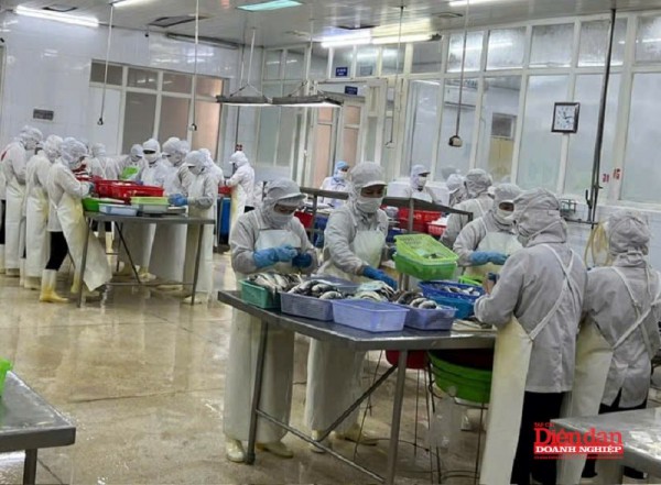 Quảng Ninh quyết liệt tháo gỡ rào cản cho các doanh nghiệp xuất nhập khẩu Quảng Ninh quyết liệt tháo gỡ rào cản cho các doanh nghiệp xuất nhập khẩu