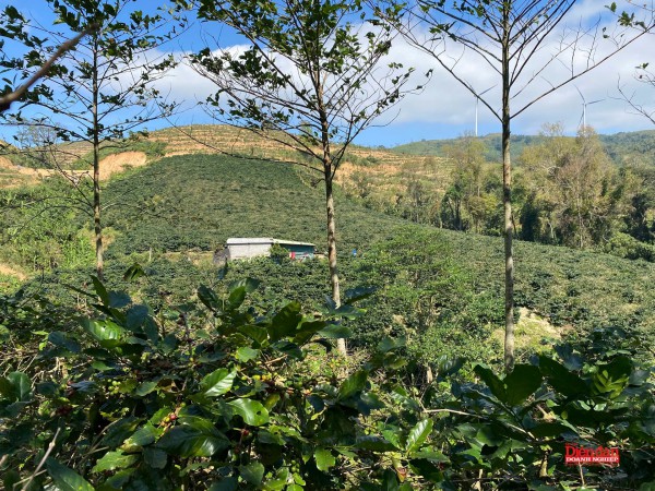 Thoát “ao làng”, OCOP Quảng Trị tìm đường ra thế giới Thoát “ao làng”, OCOP Quảng Trị tìm đường ra thế giới