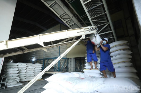 Thúc đẩy hoạt động xuất khẩu gạo