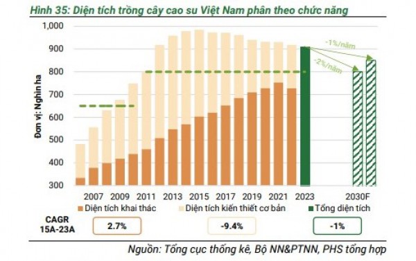 Xuất khẩu cao su Việt Nam sẽ tăng trưởng trở lại trong giai đoạn 2024-2025?
