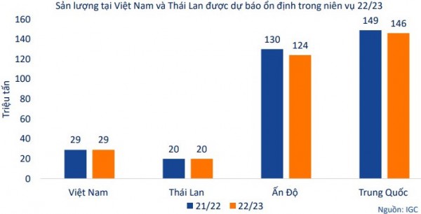 Yếu tố nào thúc đẩy triển vọng ngành gạo?