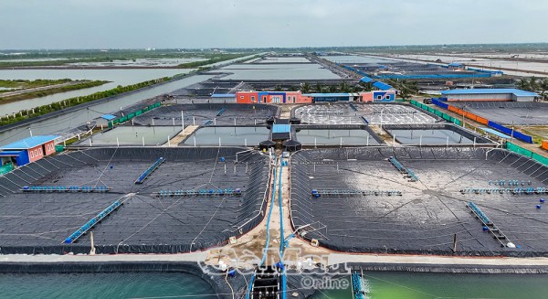 Đại hội XIV của Đảng: Khơi dậy nội lực, thúc đẩy Cà Mau phát triển bền vững