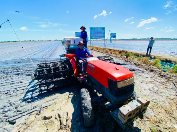 Đề án 1 triệu ha lúa - Doanh nghiệp với nút thắt vốn và cơ chế