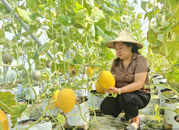 Điện Biên phát huy đòn bẩy khoa học, công nghệ