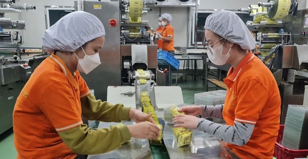 Đồng hành cùng doanh nghiệp Thái Bình trong sản xuất, kinh doanh