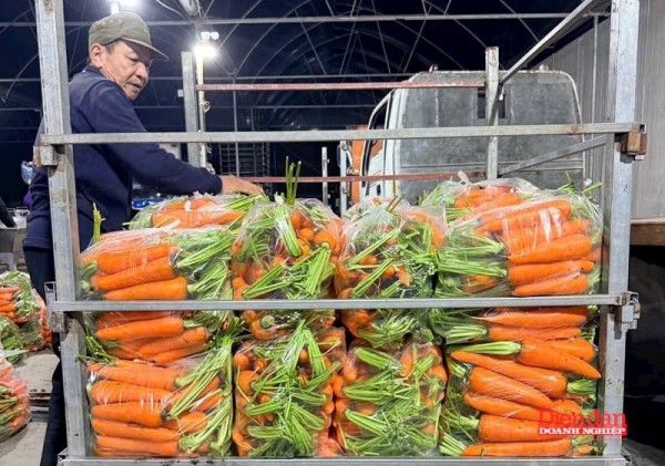 Đưa nông, thủy sản Hải Phòng ra biển lớn: Cần những "cú hích" mang tính chiến lược