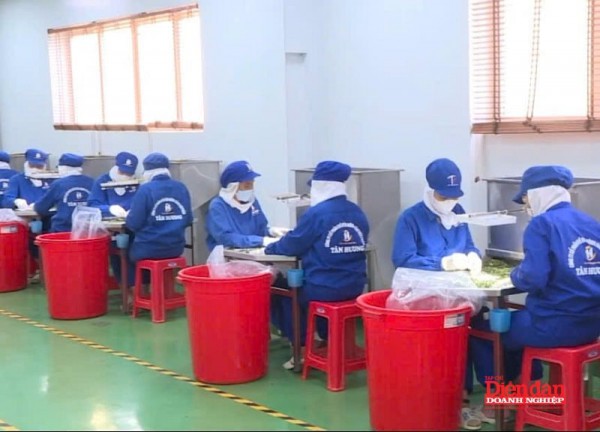 Đưa nông, thủy sản Hải Phòng ra biển lớn: Cần những "cú hích" mang tính chiến lược