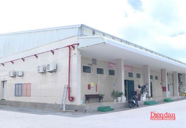 Đưa nông, thủy sản Hải Phòng ra biển lớn: Cần những "cú hích" mang tính chiến lược