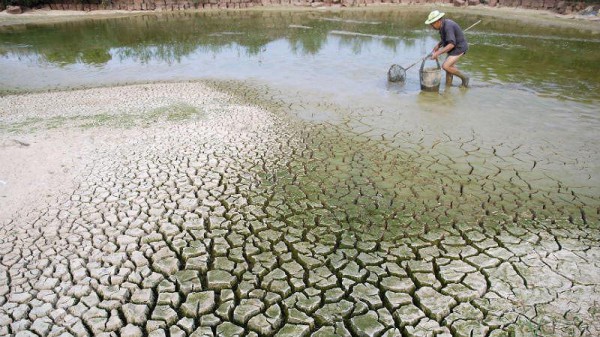 Ứng phó với biến đổi khí hậu: Cần trao quyền cho nông dân