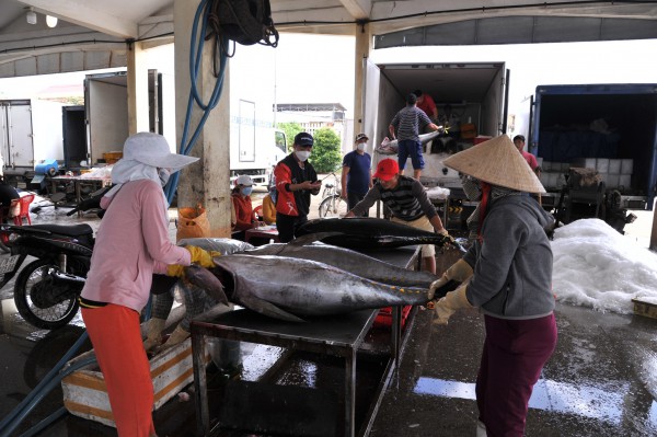 Cá ngừ Việt Nam đối mặt với lạm phát của Mỹ