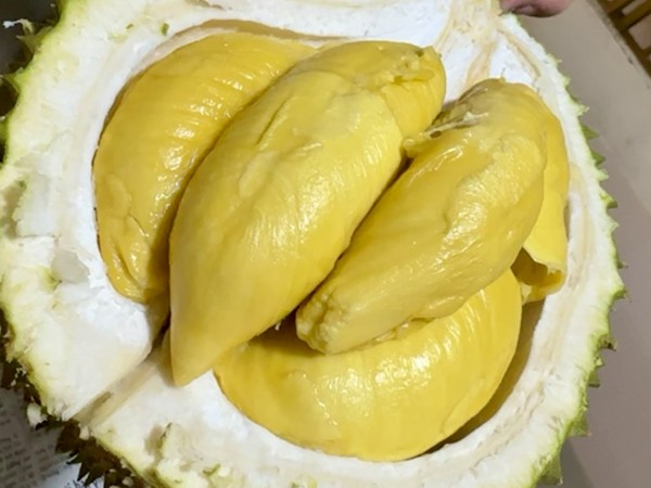 Chỉ 1 tháng, xuất khẩu sầu riêng chạm mốc kỷ lục 1 tỉ USD