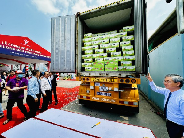 Chính thức bán bưởi da xanh Vĩnh Long vào thị trường Úc