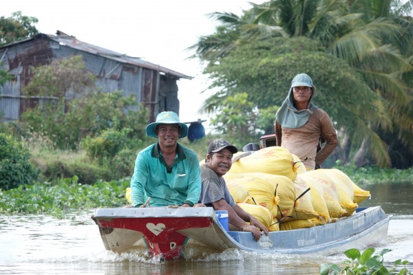 Gạo Việt Nam đang 'hot' trở lại, vì sao? Gạo Việt Nam đang 'hot' trở lại, vì sao?