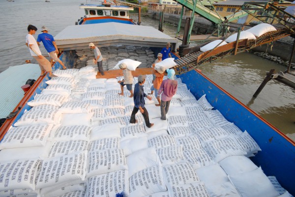 Giá gạo Thái tiếp tục tăng, bỏ xa gạo Việt hơn 25 USD/tấn