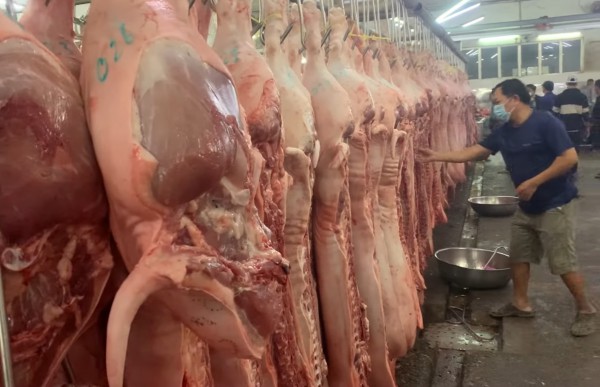 Giá heo hơi hôm nay 10.9.2025: Bật tăng, lên lại mức 60.000 đồng/kg Giá heo hơi hôm nay 10.9.2025: Bật tăng, lên lại mức 60.000 đồng/kg