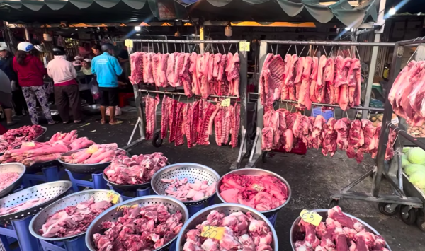 Giá heo hơi hôm nay 13.4.2026: Neo cao do chi phí đầu vào tăng Giá heo hơi hôm nay 13.4.2026: Neo cao do chi phí đầu vào tăng