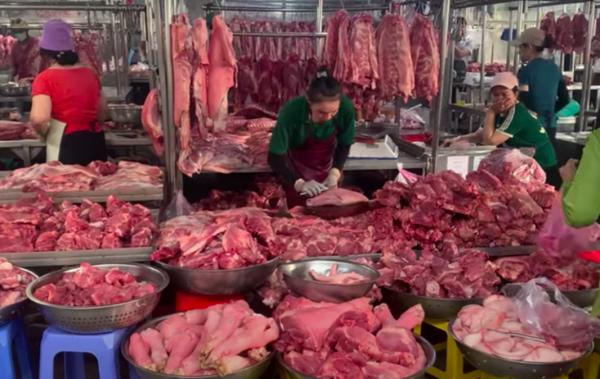 Giá heo hơi hôm nay 13.5.2026: Đà tăng chững lại