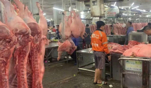 Giá heo hơi hôm nay 15.10.2025: Xuống thấp nhất trong 19 tháng qua