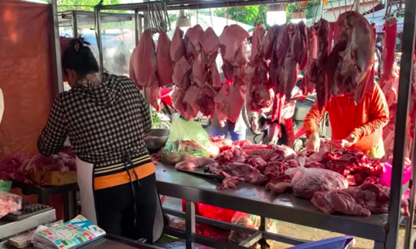 Giá heo hơi hôm nay 1.6.2026: Chưa thoát được xu hướng giảm Giá heo hơi hôm nay 1.6.2026: Chưa thoát được xu hướng giảm