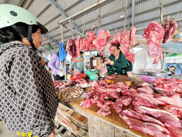 Giá heo hơi hôm nay 16.3.2026: Đà giảm tạm ngừng Giá heo hơi hôm nay 16.3.2026: Đà giảm tạm ngừng