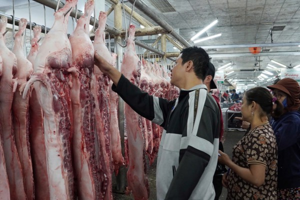 Giá heo hơi hôm nay 17.4.2025: 'Thủ phủ' chăn nuôi lên mức cao nhất