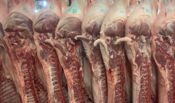 Giá heo hơi hôm nay 1.8.2025: Tăng nhẹ cả 3 miền Giá heo hơi hôm nay 1.8.2025: Tăng nhẹ cả 3 miền