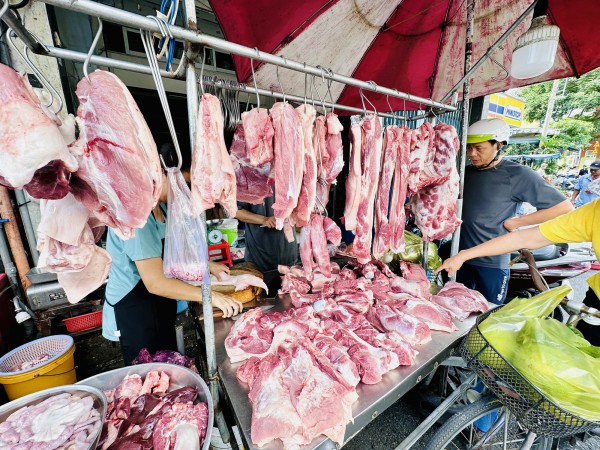 Giá heo hơi hôm nay 22.7.2025: Lao dốc Giá heo hơi hôm nay 22.7.2025: Lao dốc