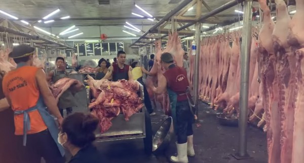 Giá heo hơi hôm nay 22.8.2025: Kéo dài đà giảm Giá heo hơi hôm nay 22.8.2025: Kéo dài đà giảm