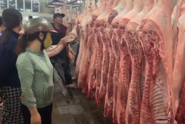 Giá heo hơi hôm nay 23.7.2025: Rớt quá nhanh Giá heo hơi hôm nay 23.7.2025: Rớt quá nhanh