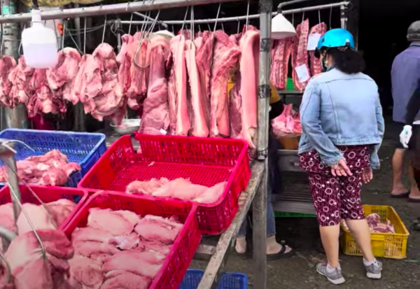 Giá heo hơi hôm nay 24.11.2025: Giữ đà tăng Giá heo hơi hôm nay 24.11.2025: Giữ đà tăng