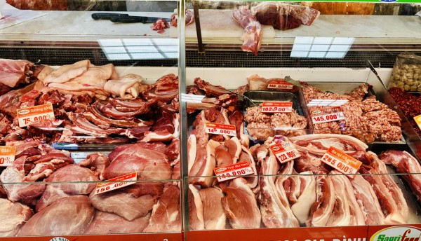 Giá heo hơi hôm nay 24.3.2026: Biến động trái chiều