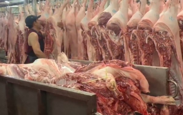 Giá heo hơi hôm nay 2.5.2025: Đi ngang sau kỳ nghỉ lễ