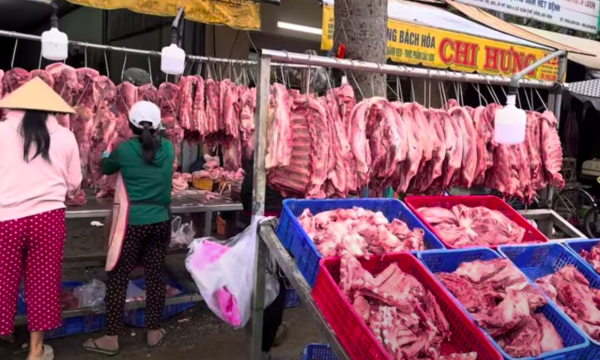 Giá heo hơi hôm nay 26.11.2025: Biến động khó lường Giá heo hơi hôm nay 26.11.2025: Biến động khó lường