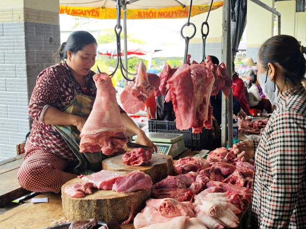 Giá heo hơi hôm nay 27.3.2026: Giảm trở lại Giá heo hơi hôm nay 27.3.2026: Giảm trở lại