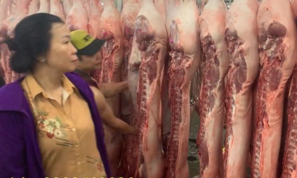 Giá heo hơi hôm nay 27.6.2025: Liệu có giảm tiếp? Giá heo hơi hôm nay 27.6.2025: Liệu có giảm tiếp?