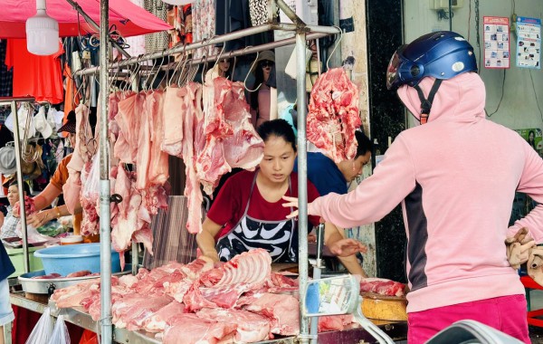 Giá heo hơi hôm nay 6.11.2025: Giảm đồng loạt Giá heo hơi hôm nay 6.11.2025: Giảm đồng loạt